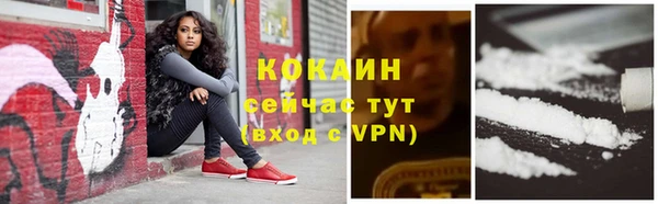 винт Осинники