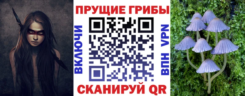 Галлюциногенные грибы Psilocybe  Пудож 